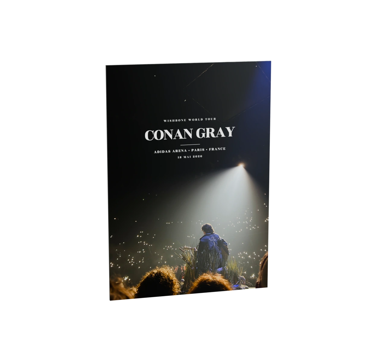 Affiche Conan Gray personnalisée, imprimée sur Dibond